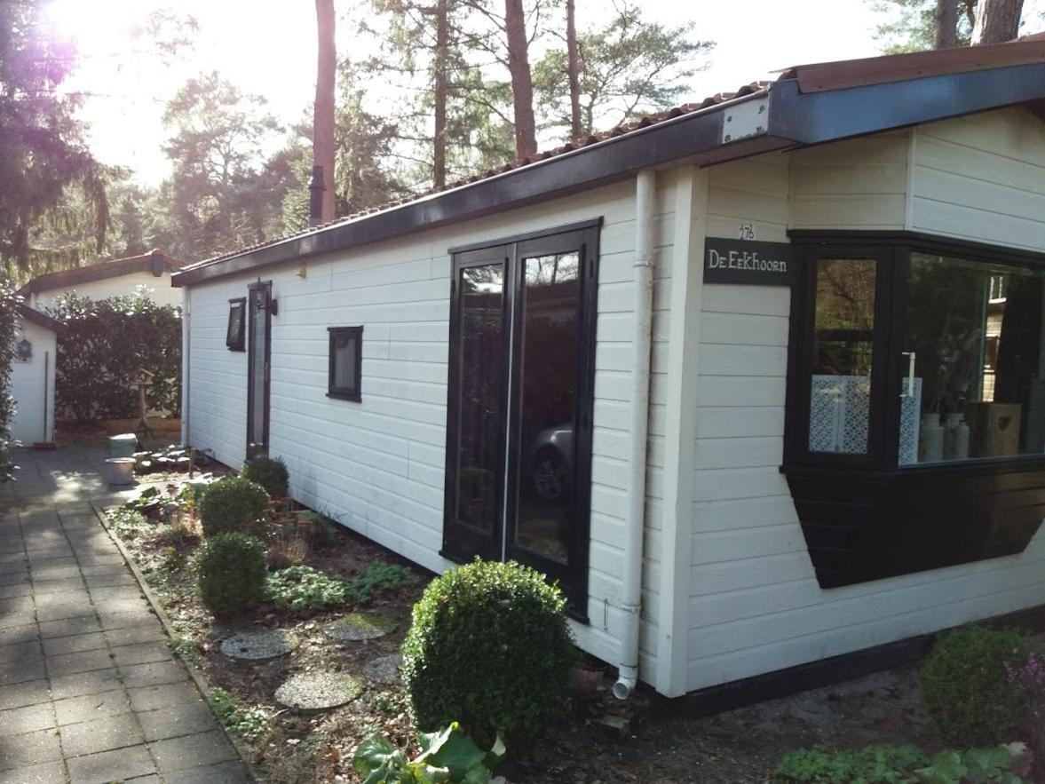 Chalet De Eekhoorn Diever Exteriér fotografie