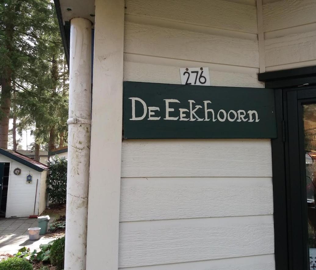 Chalet De Eekhoorn Diever Exteriér fotografie